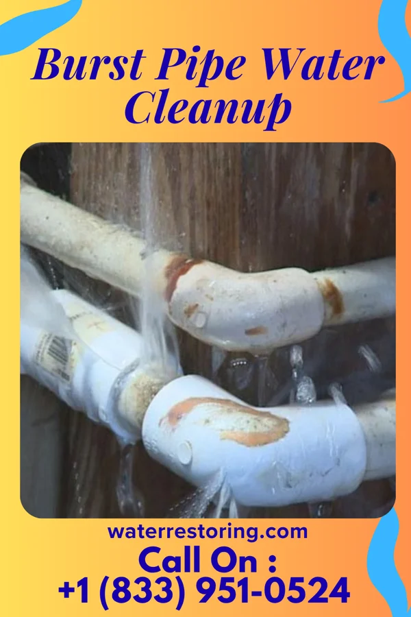 Burst Pipe Water Cleanup in Bigelow, AR