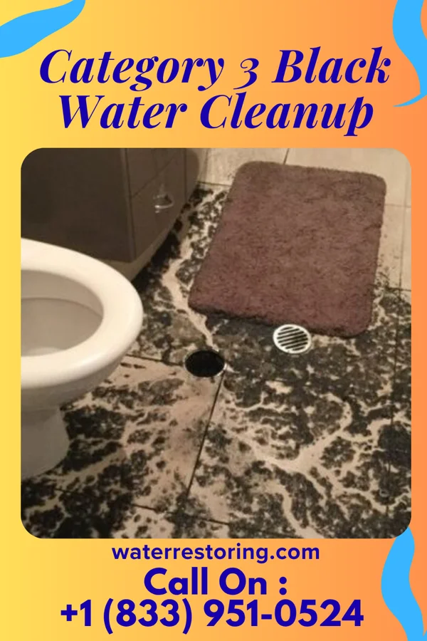 Category 3 Black Water Cleanup in Bigelow, AR