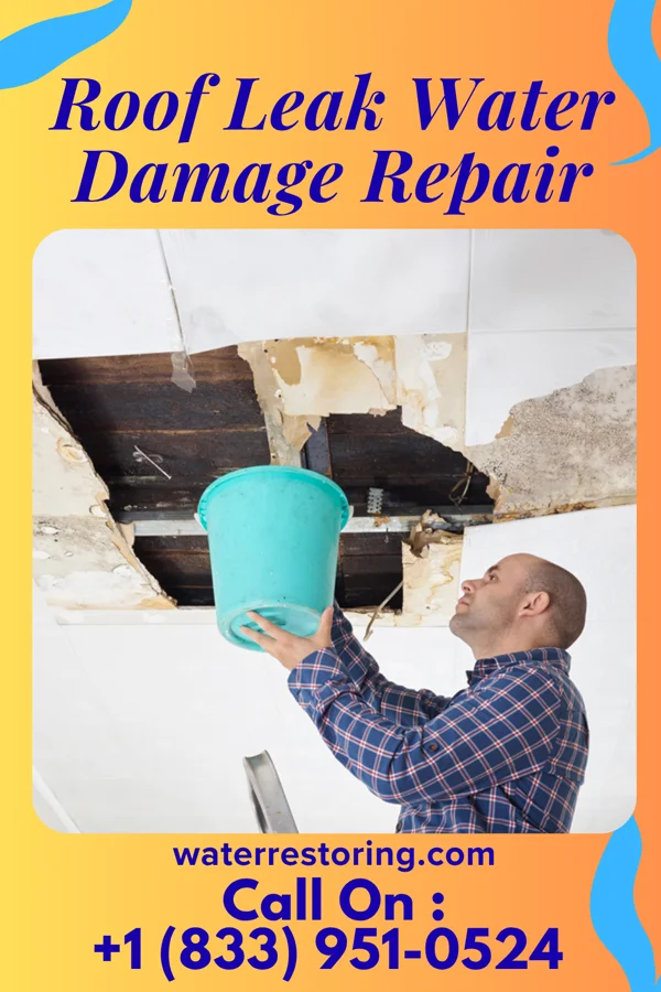 Roof Leak Water Damage Repair in Bigelow, AR